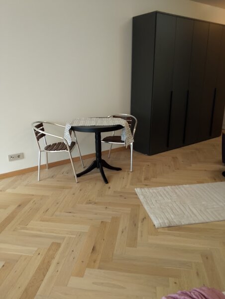 Piata Victoriei, Petru Rares Loft, lux, premium building